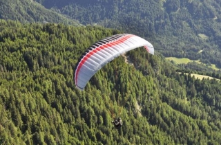  Volando el verde 